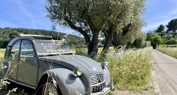 location-CITROEN-Six-Fours-les-Plages-roadstr