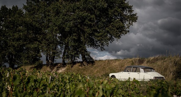 location-CITROEN-Ludon-Médoc-roadstr