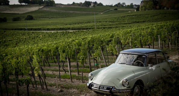 location-CITROEN-Ludon-Médoc-roadstr