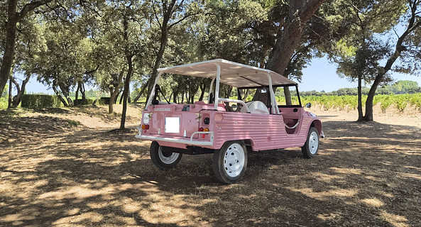 location-CITROEN-Sorgues-roadstr