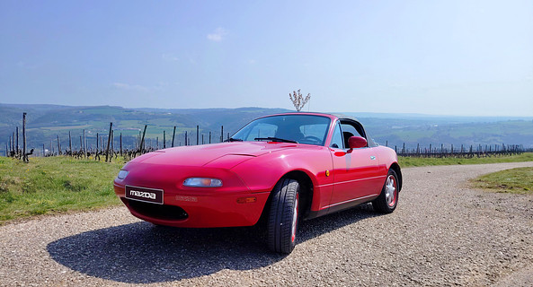 location-MAZDA-Saint-Cyr-sur-le-Rhône-roadstr