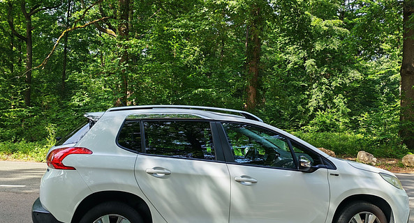 location-PEUGEOT-Saint-Germain-en-Laye-roadstr