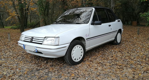 location-PEUGEOT-Saint-Sébastien-sur-Loire-roadstr