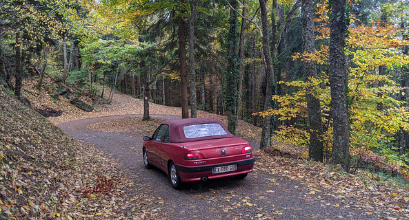 location-PEUGEOT-Strasbourg-roadstr