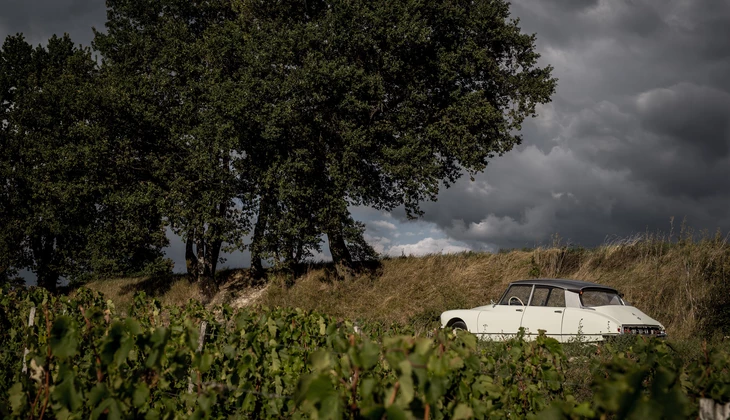 location-CITROEN-Ludon-Médoc-roadstr