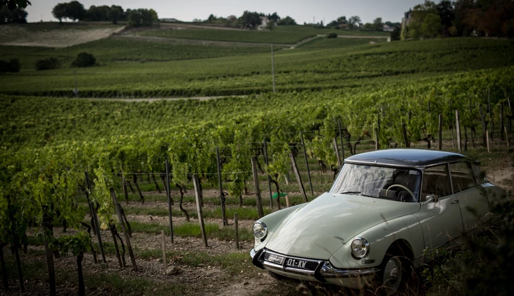 location-CITROEN-Ludon-Médoc-roadstr