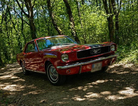 location-FORD-Bordeaux-roadstr