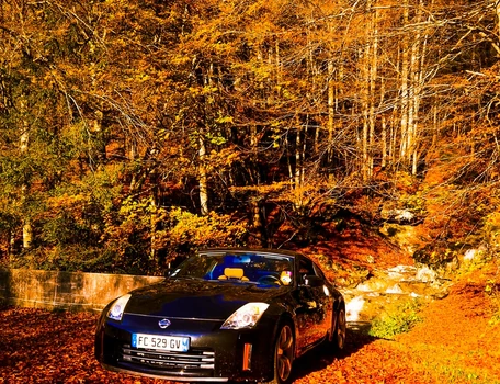location-NISSAN-Albertville-roadstr
